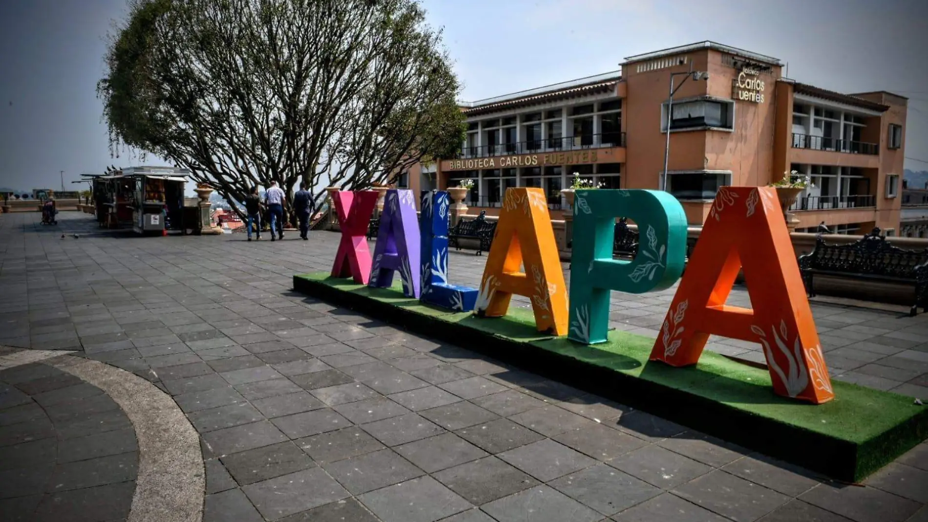 letras de xalapa, René